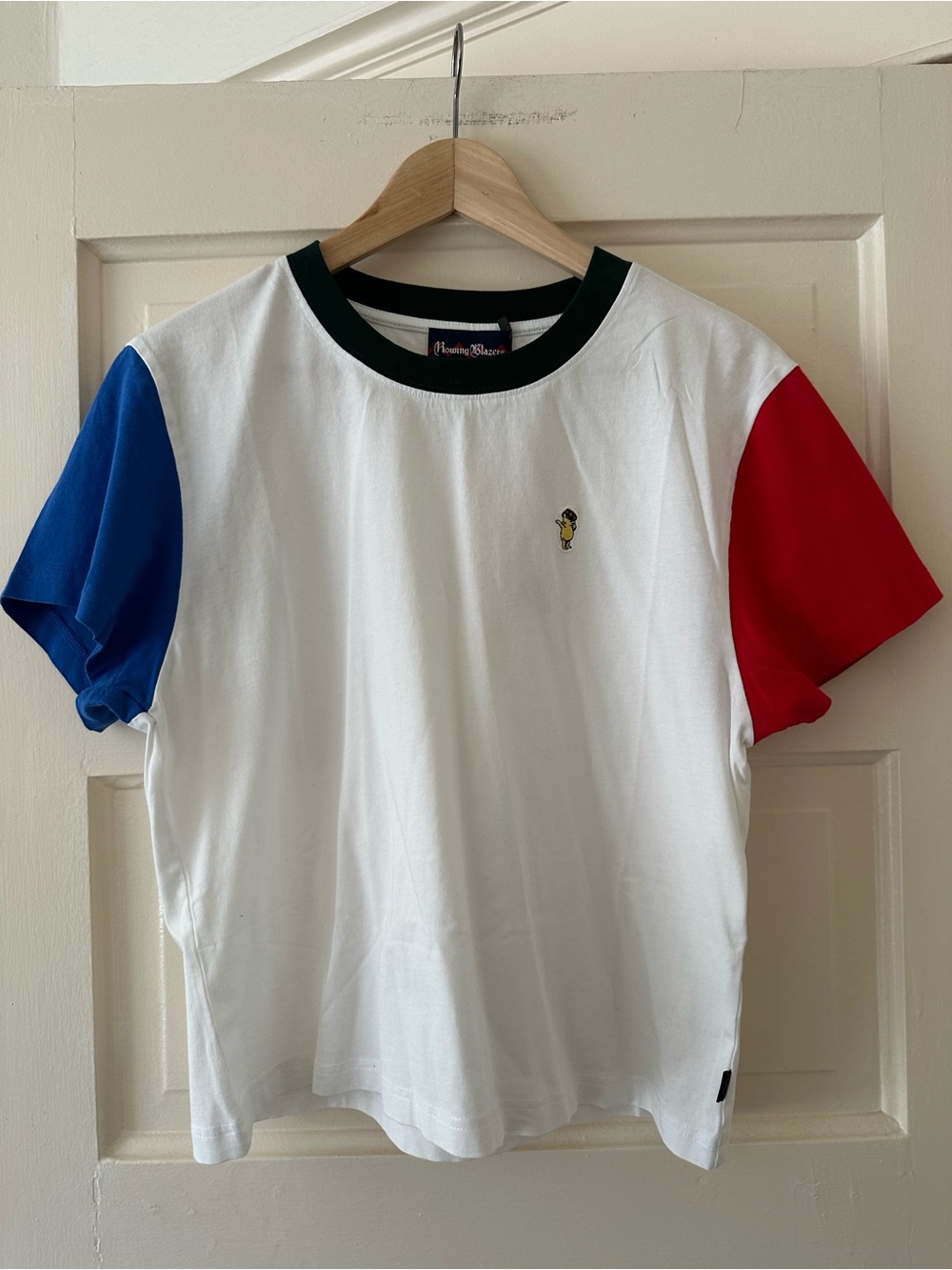 Rowing Blazers Winnie the Pooh women’s color block t-shirt